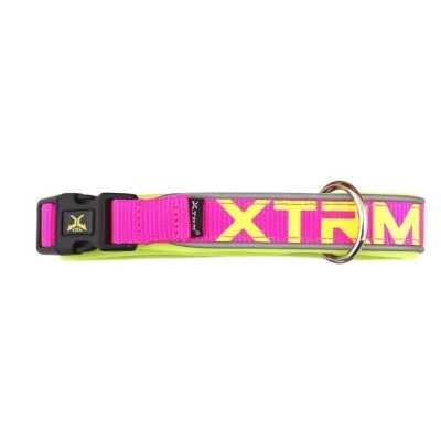 Collar Perros Fucsia X-Trm Neon Flash