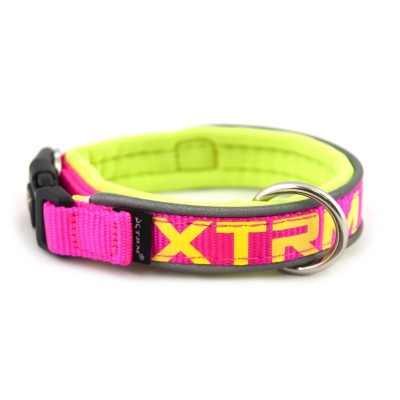 Collar Perros Fucsia X-Trm Neon Flash