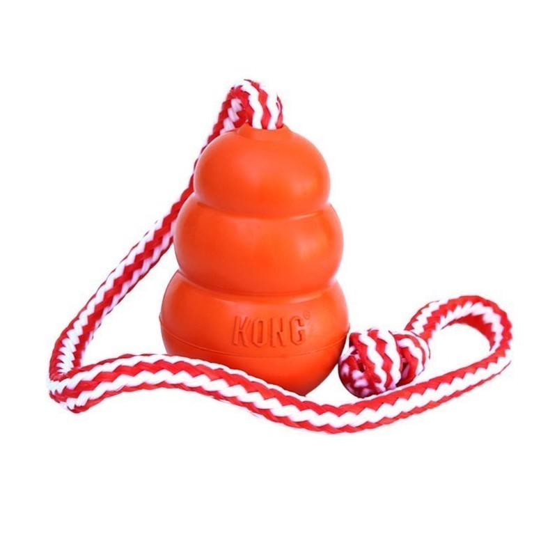 Kong Aqua Juguete Acuático para Perros