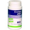 Enzivet, 60 Comprimidos