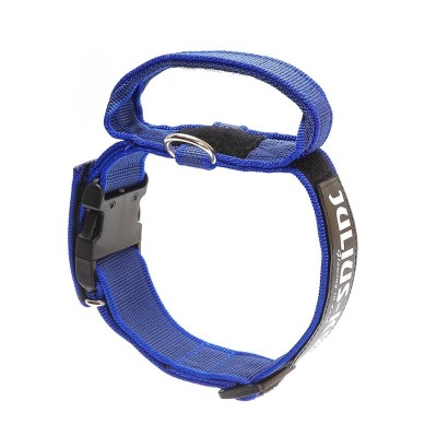 Collar con Asa Engomado Azul Julius K9 para Perro