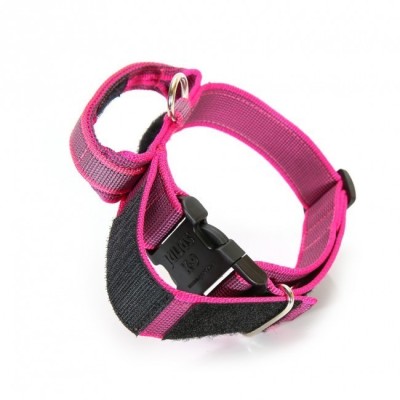 Collar con Asa Engomado Rosa Julius K9 para Perro
