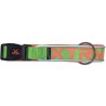 Collar Perros Verde X-Trm Neon Flash