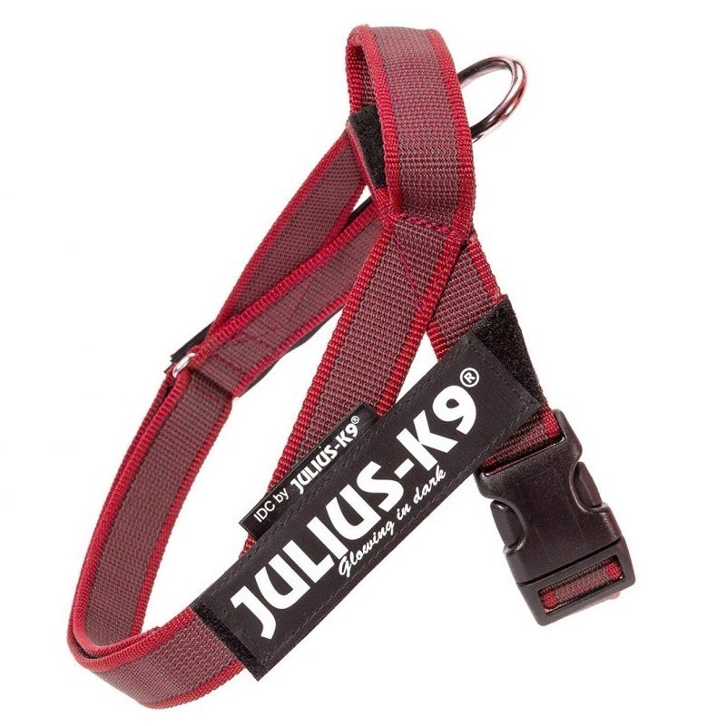 Arnes Julius K9 IDC de Cinta Rojo