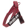 Arnes Julius K9 IDC de Cinta Rojo
