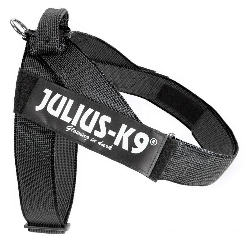 Arnes Julius K9 IDC de Cinta Negro