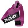 Arnes Julius K9 IDC de Cinta Rosa