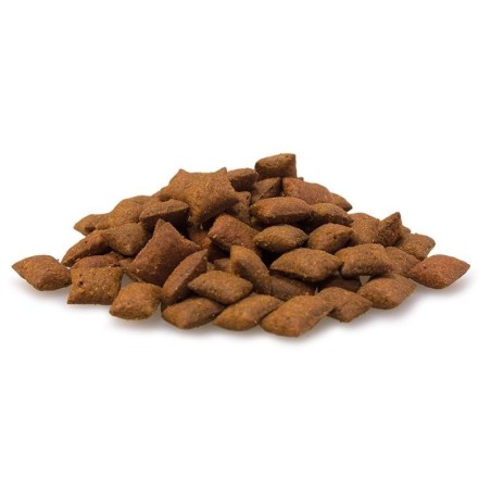 Snack con Malta para Gato Arquivet