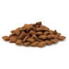 Snack con Malta para Gato Arquivet