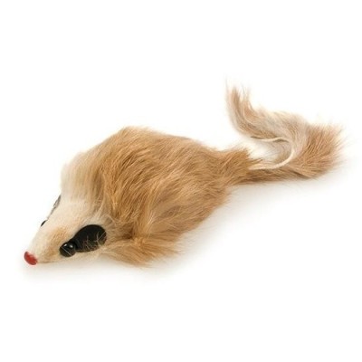 Raton Peludo para Gatos Arquivet