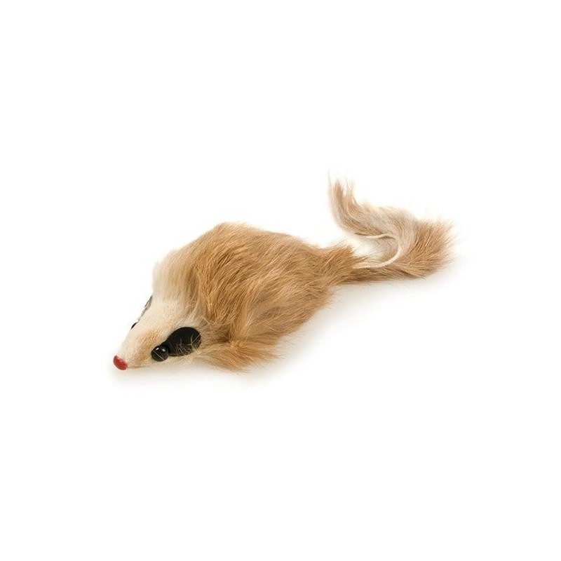 Raton Peludo para Gatos Arquivet