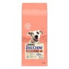 Dog Chow Perro Adulto Sensitive Salmon