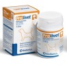 Prolivet Perros Medianos Bioiberica
