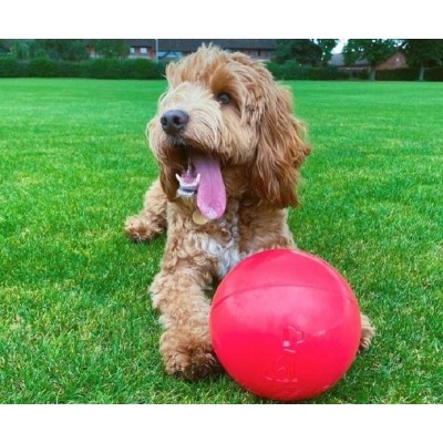 Boomer Ball Pelota para Perros - 3
