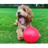 Boomer Ball Pelota para Perros - 3