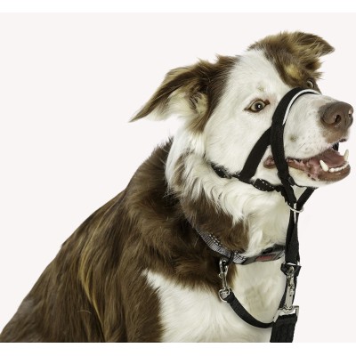 Bozal Halti Headcollar para Perros Negro - 4
