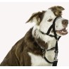 Bozal Halti Headcollar para Perros Negro - 4