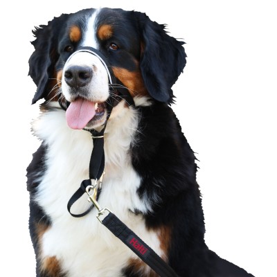 Bozal Halti Headcollar para Perros Negro - 5