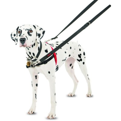Arnes Halti para Perros Control delantero - 2