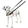 Arnes Halti para Perros Control delantero - 2