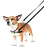 Arnes Halti para Perros Control delantero - 3