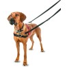 Arnes Halti para Perros Control delantero - 4