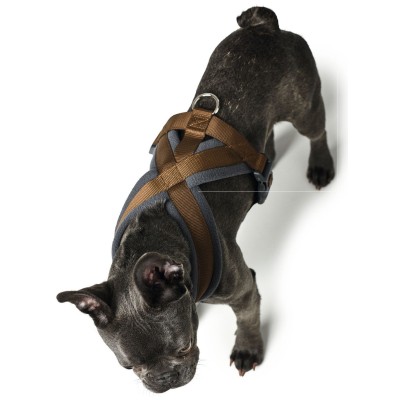 Hunter Arnés para Perros London Comfort Marrón