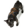 Hunter Arnés para Perros London Comfort Marrón