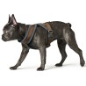 Hunter Arnés para Perros London Comfort Marrón - 2