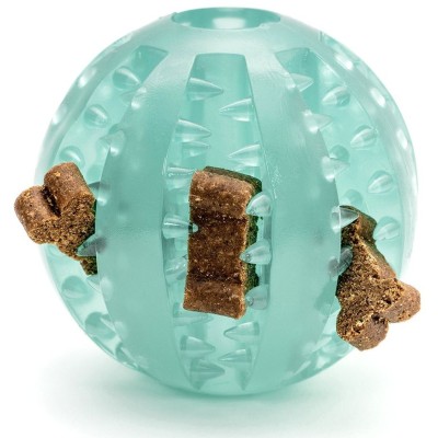 Gloria Pelota Dental TPR para Perro