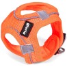 Gloria Arnés Air Mesh Trek Star Naranja - 2