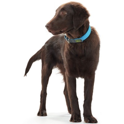 Hunter Collar para Perro Convenience Turquesa - 3