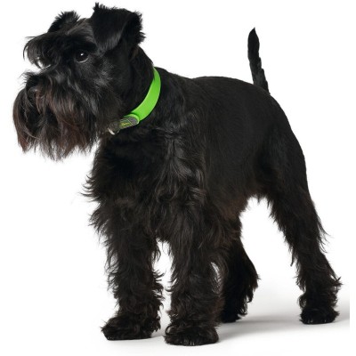 Hunter Collar para Perro Convenience Verde - 3