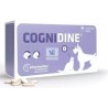 Cognidine Pharmadiet