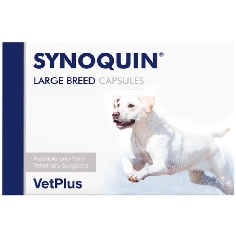 Synoquin Cápsulas Perros Vetplus
