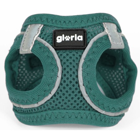Gloria Arnés Air Mesh Trek Star Turquesa - 3