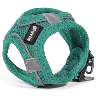 Gloria Arnés Air Mesh Trek Star Turquesa - 4