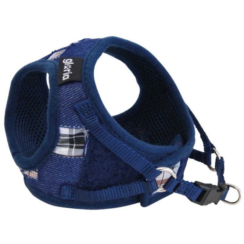 Gloria Petral Jeans Azul