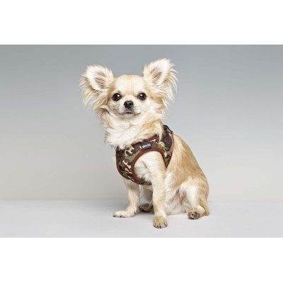 Gloria Petral para Perros Camuflaje