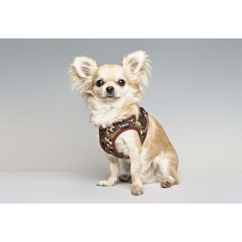 Gloria Petral para Perros Camuflaje