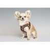 Gloria Petral para Perros Camuflaje