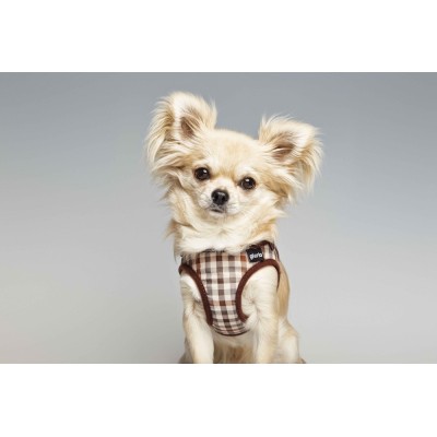 Arnes para Perro Checked Gloria