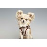 Arnes para Perro Checked Gloria