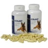 Colaid Cápsulas Perros Vetplus