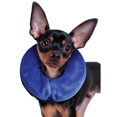 Kong E-Collar Cloud Isabelino Inchable