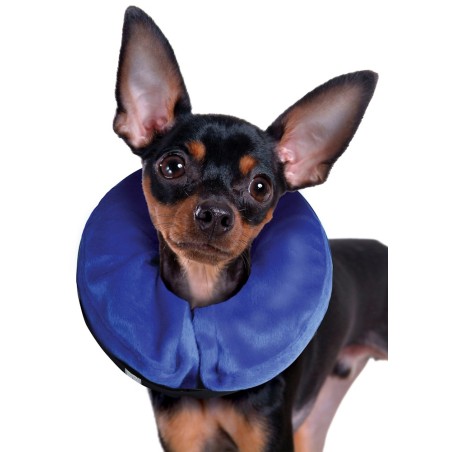 Kong E-Collar Cloud Isabelino Inchable