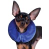 Kong E-Collar Cloud Isabelino Inchable