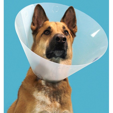 Kong Quick Fit Collar Isabelino Perro y Gato