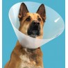 Kong Quick Fit Collar Isabelino Perro y Gato