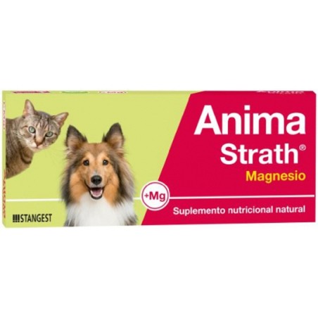 Anima Strath Comprimidos Magnesio Stangest - 2